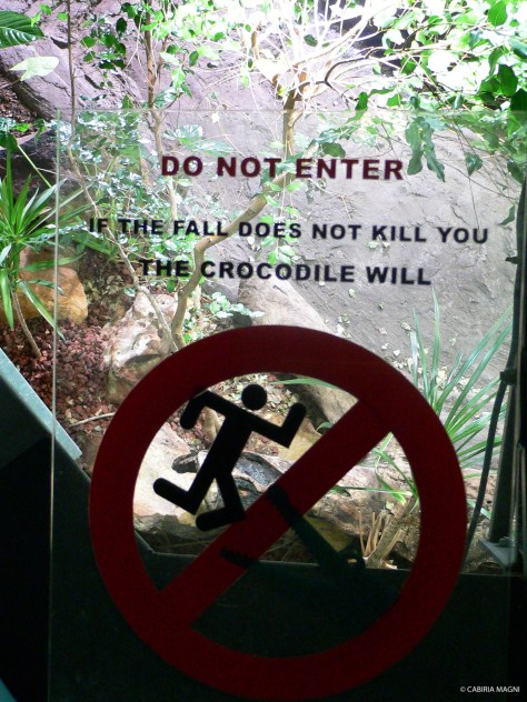 Watch your step in crocos area!