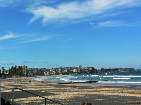 A beach in Manly