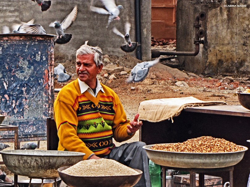 jaipur rajasthan man