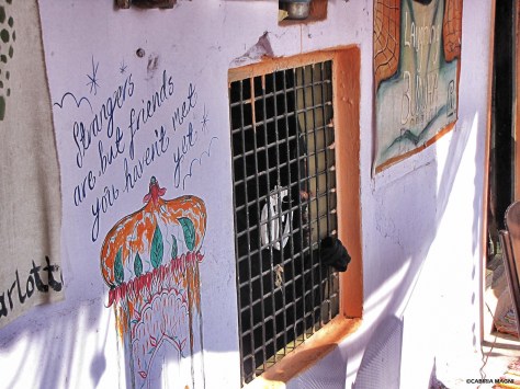 Gems of wisdom in Pushkar