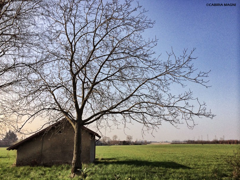 Verderio countryside Cabiria Magni