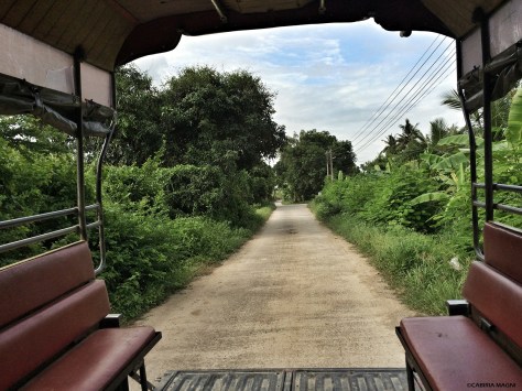 On the road Singburi Cabiria Magni