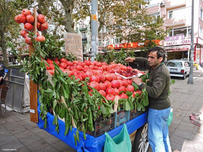 Melograno Istanbul Cabiria Magni