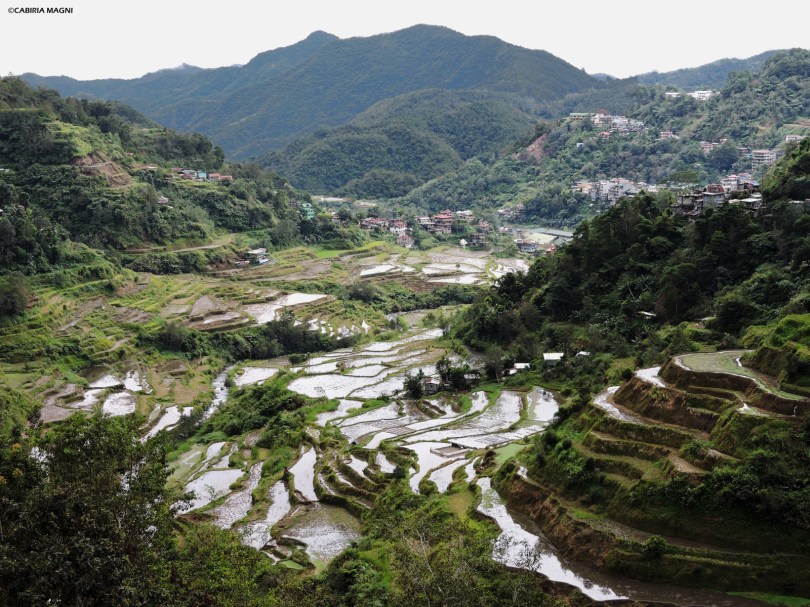Le risaie di Banaue, Filippine. Cabiria Magni