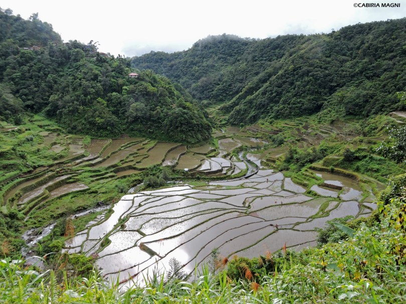 Sulla strada per Batad, Luzon del nord.