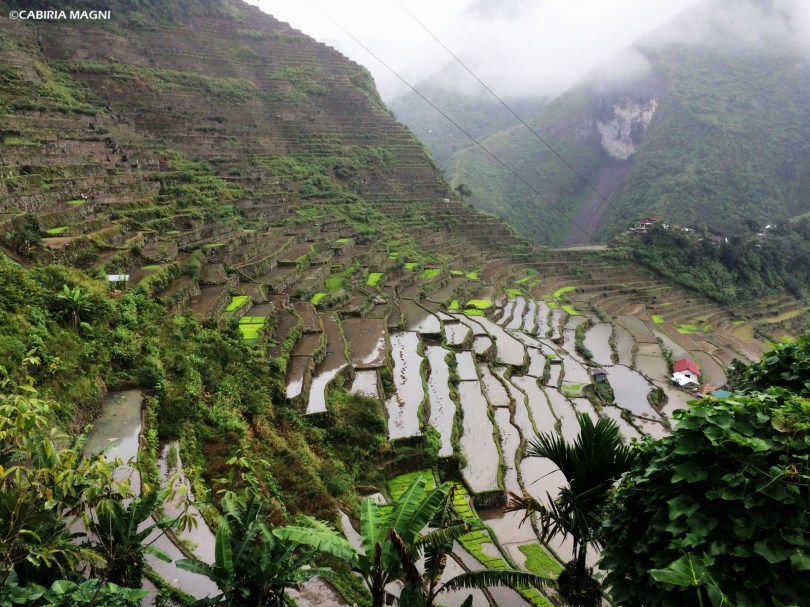Le risaie di Batad dal viewpoint.