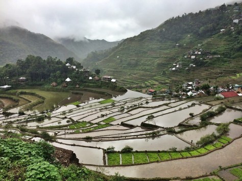 Le risaie di Batad, Filippine. Cabiria Magni
