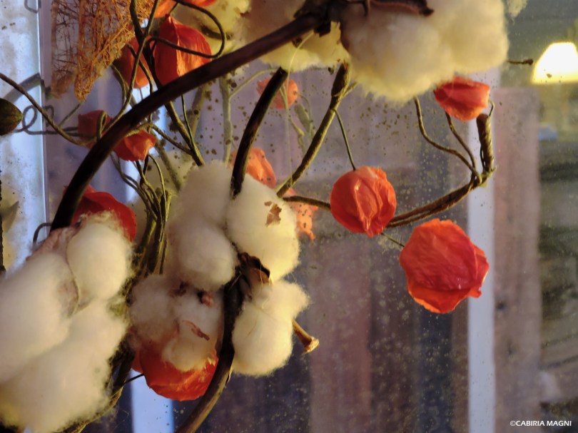 Dettaglio invernale.