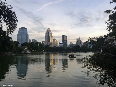 Lumphini Park, Bangkok. Cabiria Magni