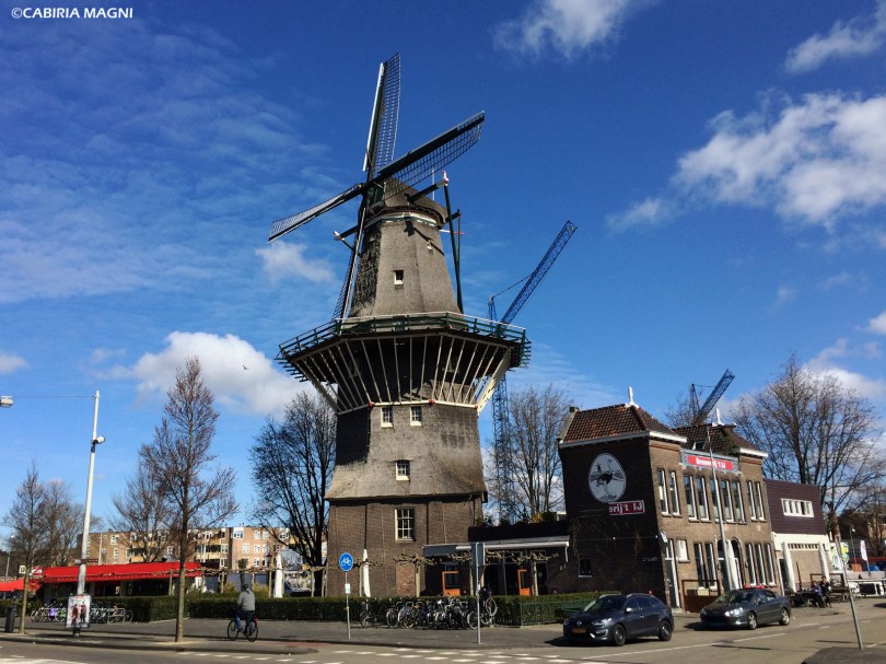 Mulini in città. Amsterdam Oost