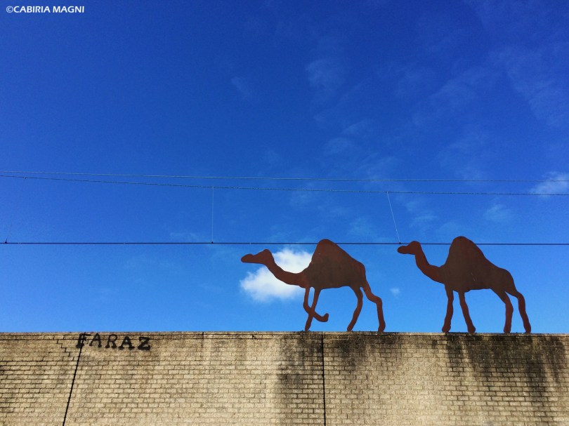 Cammelli, Amsterdam Oost