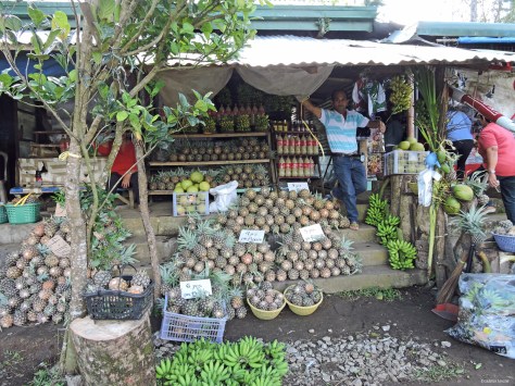 Bancarelle di ananas. Filippine, Luzon