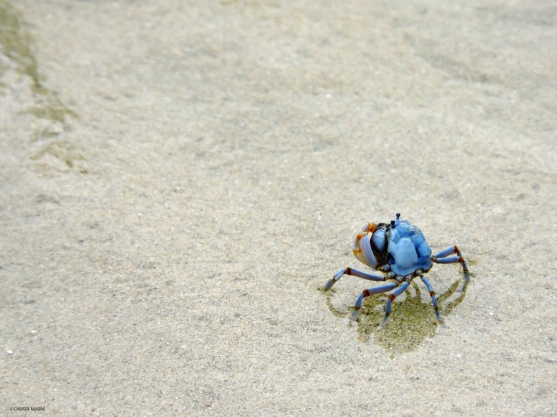 Las Cabañas, abitanti. Filippine