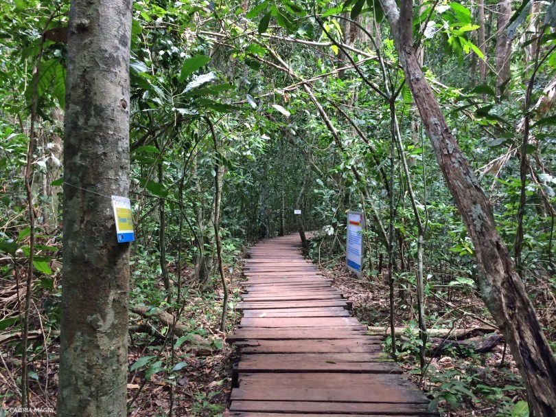 Verso l'entrata del fiume, Sabang. Filippine
