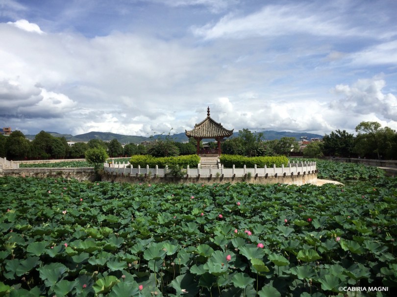 I fiori di loto del tempio di Confucio, Jianshui. Cabiria Magni