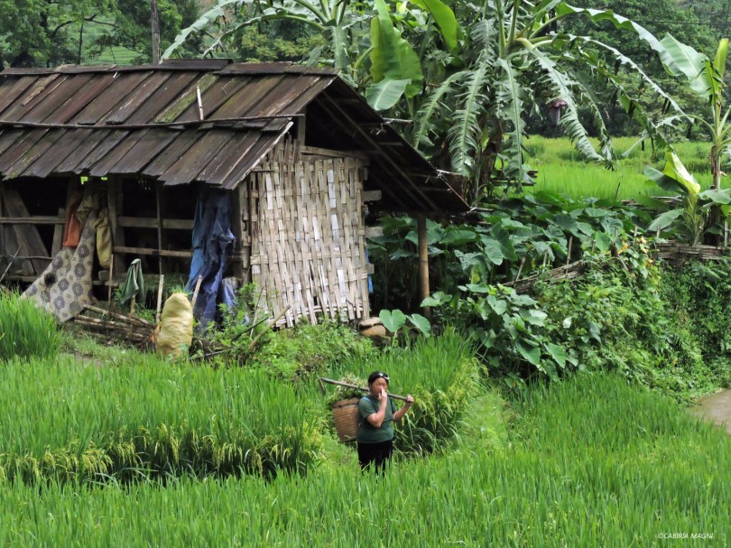 Sapa. Cabiria Magni, Vietnam
