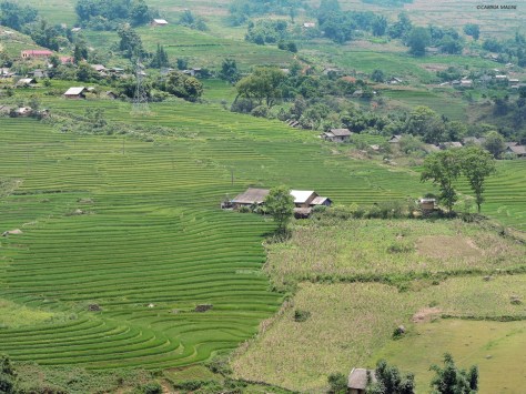 La valle intorno a Sapa. Cabiria Magni, Vietnam