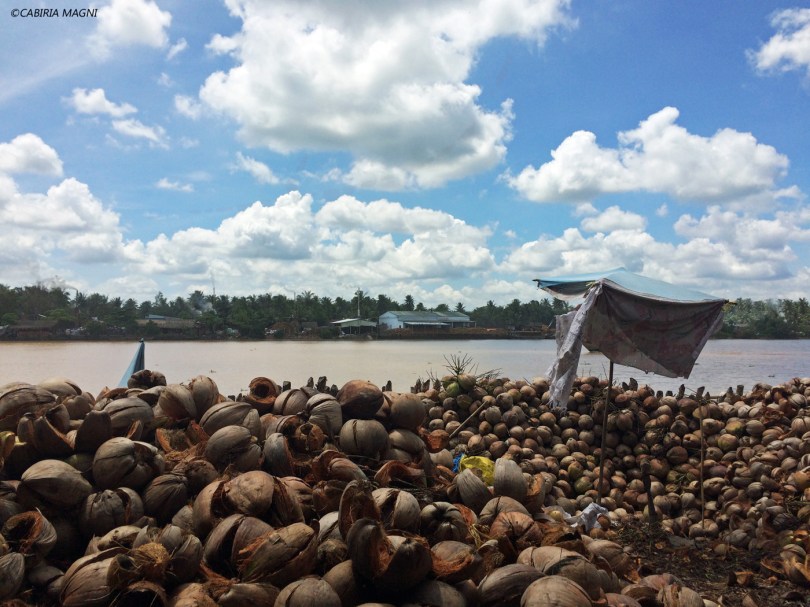 Delta del Mekong: lavorazione del cocco. Cabiria Magni, Vietnam