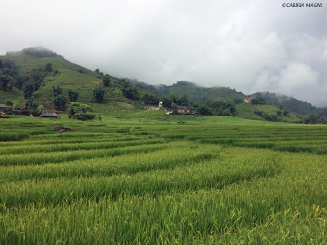 Le risaie di Sapa, Vietnam. Cabiria Magni