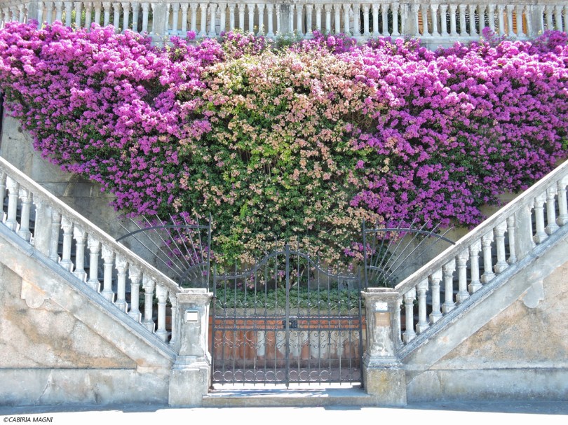 Levanto, cascata di fiori sul lungomare. Liguria, Cabiria Magni
