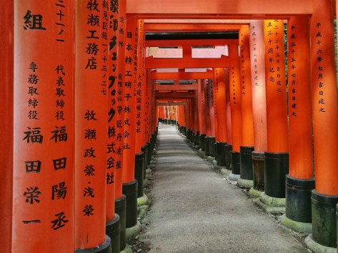 I famosi torii rossi del Fushimi Inari. Cabiria Magni, Giappone