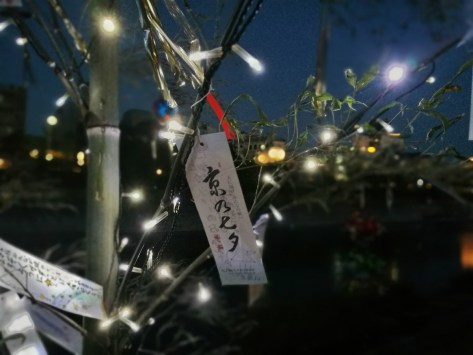 Lungo il fiume Kamo, Kyoto. Cabiria Magni, Giappone