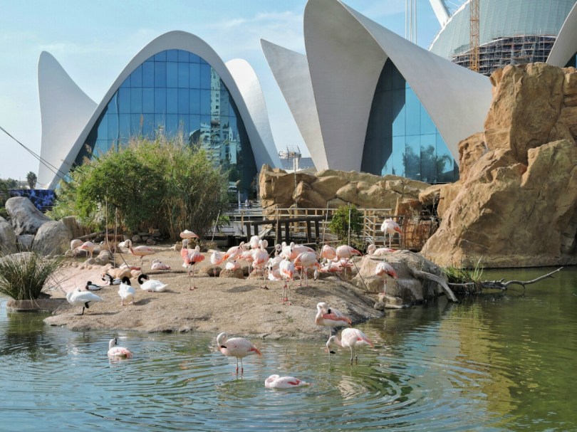 Città della Scienza, acquario, Valencia, Cabiria Magni